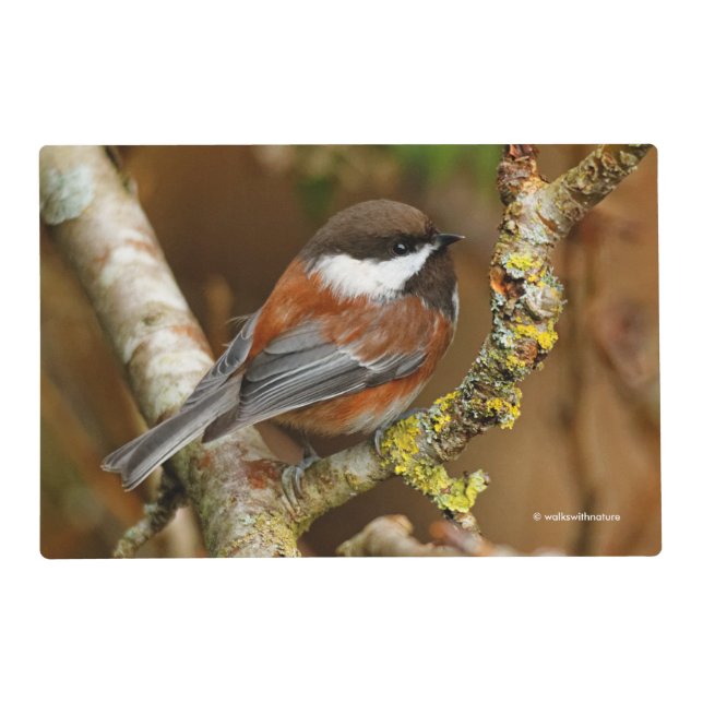 Cute Chestnut-Backed Chickadee on the Pear Tree Placemat (Front)