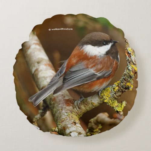 Cute Chestnut_Backed Chickadee on the Pear Tree Round Pillow