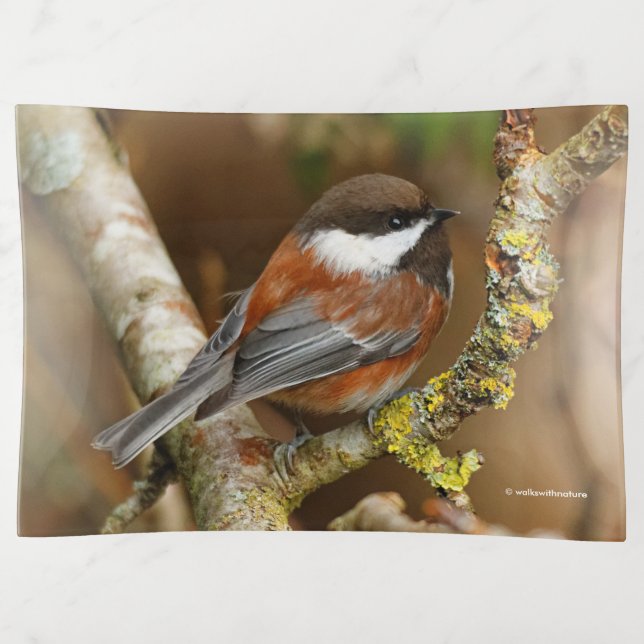 Cute Chestnut-Backed Chickadee on the Pear Tree Trinket Tray (Front)