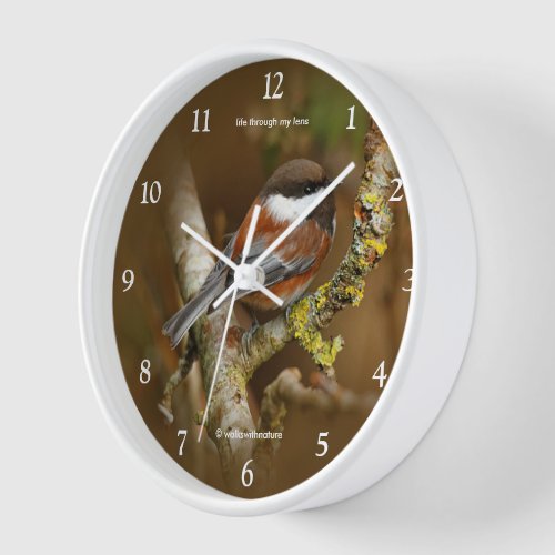 Cute Chestnut_Backed Chickadee Songbird in Tree Clock
