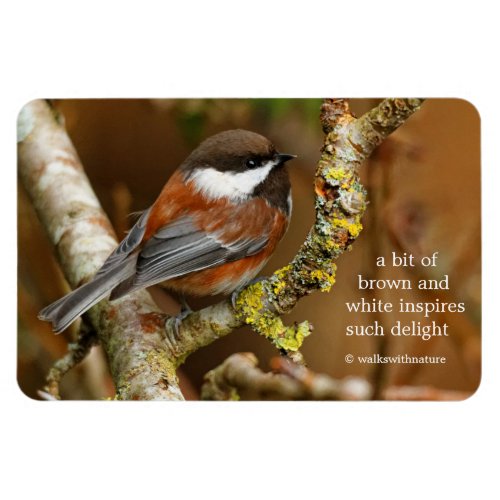 Cute Chestnut_Backed Chickadee Songbird in Tree Magnet