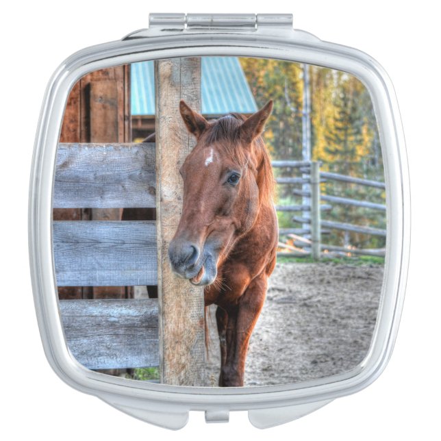 Cute Chestnut Horse Mare Photo Gift 2 Mirror For Makeup (Front)