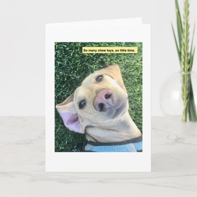 Cute Chew Toys Dachshund Card (Front)