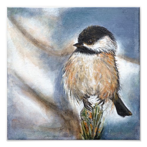 Cute Chickadee Bird Adorable Black Capped Photo Print