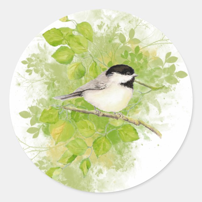 Cute Chickadee Bird in Poplar Tree Classic Round Sticker (Front)