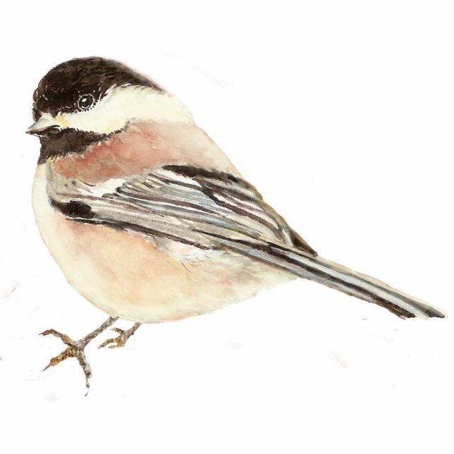 Cute Chickadee Bird, Nature, Wildlife Statuette (Front)