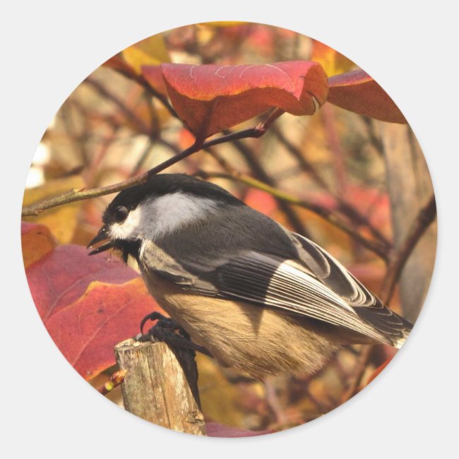 Cute Chickadee Bird with Pink Autumn Leaves