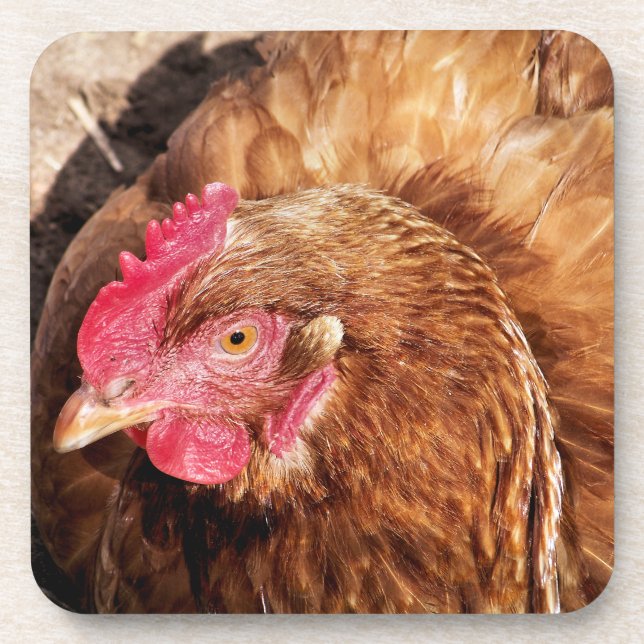 CUTE CHICKEN   BEVERAGE COASTER (Front)
