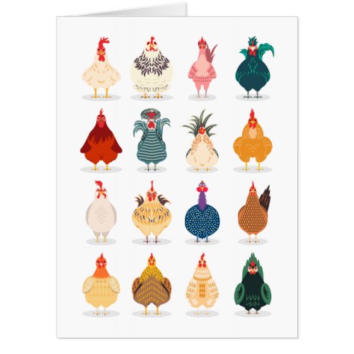 Cute Chicken Card