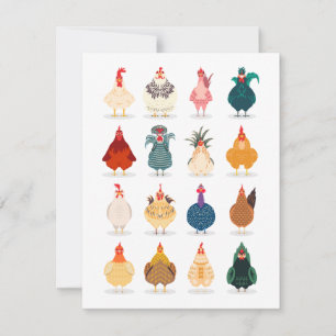 Cute Chicken Card