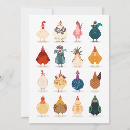 Cute Chicken Card