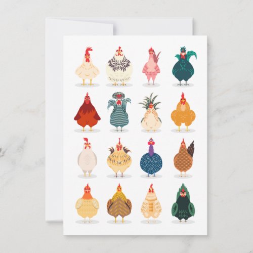 Cute Chicken Card