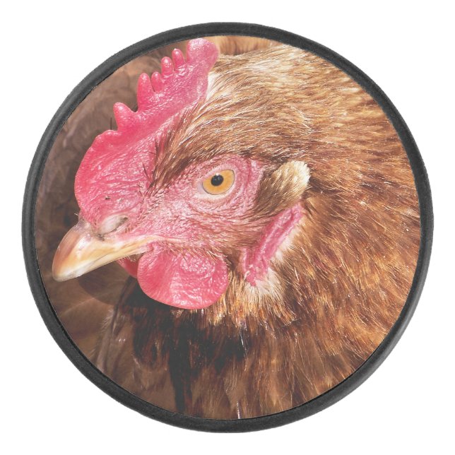 CUTE CHICKEN   HOCKEY PUCK (Front)