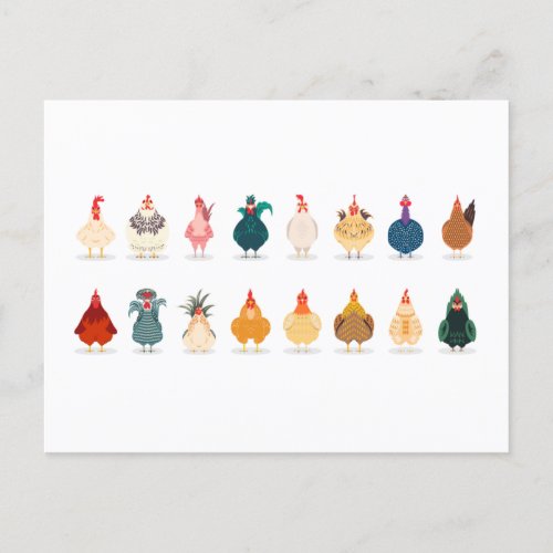 Cute Chicken Holiday Postcard