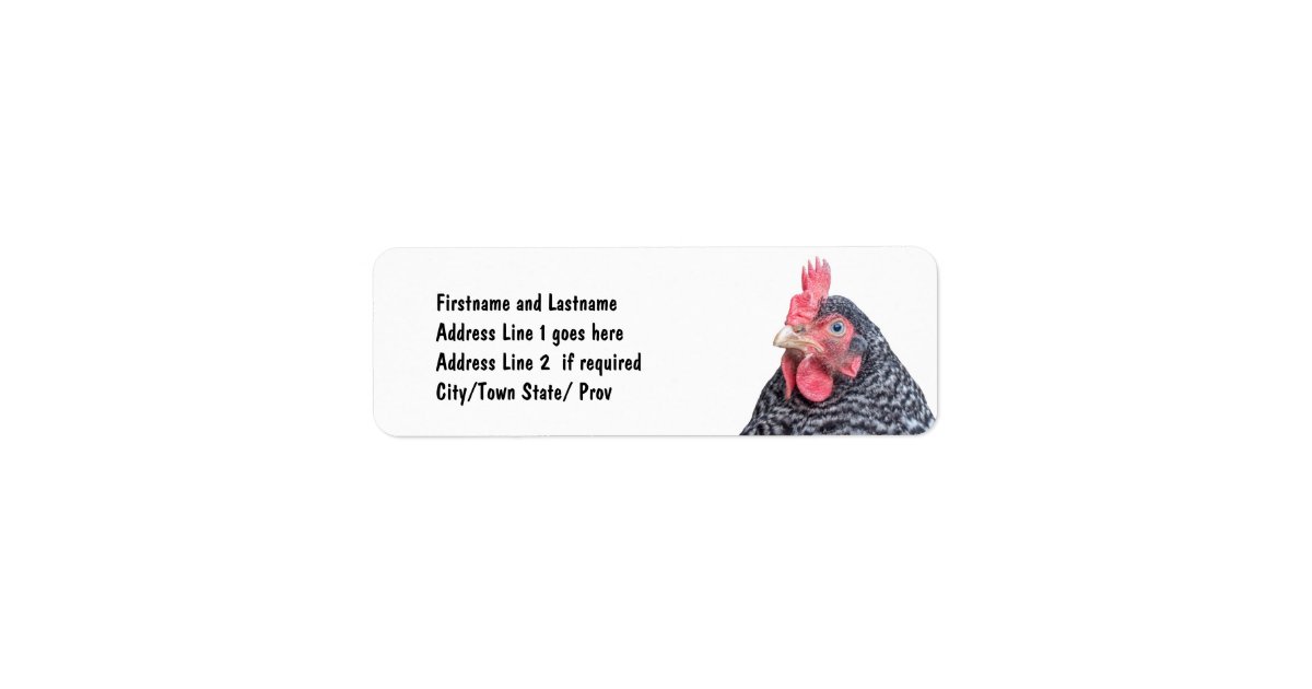 Cute Chicken Photo Customized Address Label | Zazzle