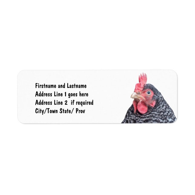 Cute Chicken Photo Customized Address Label (Front)