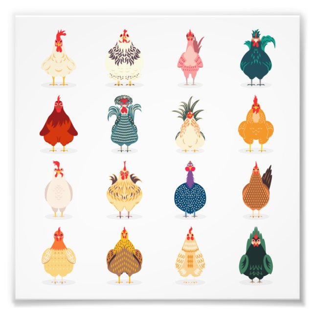 Cute Chicken Photo Print (Front)