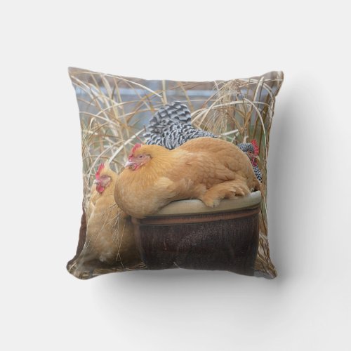 Cute Chicken Pillow