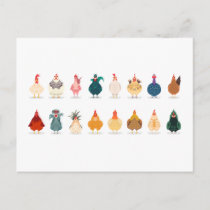Cute Chicken Postcard