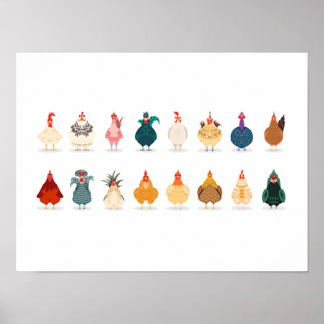 Cute Chicken Poster | Zazzle