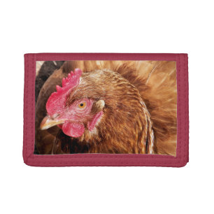 CUTE CHICKEN TRIFOLD WALLET