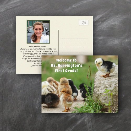 Cute Chicks Back to School Welcome Teacher Photo Postcard