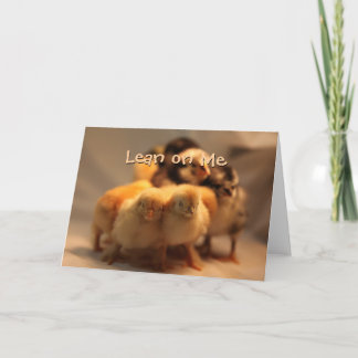Cute Chicks Greeting Card