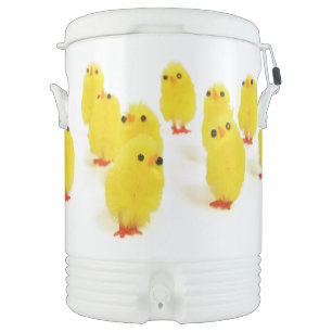 cute chicks igloo cooler
