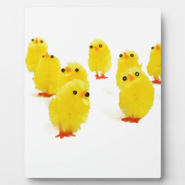 cute chicks plaque (Front)