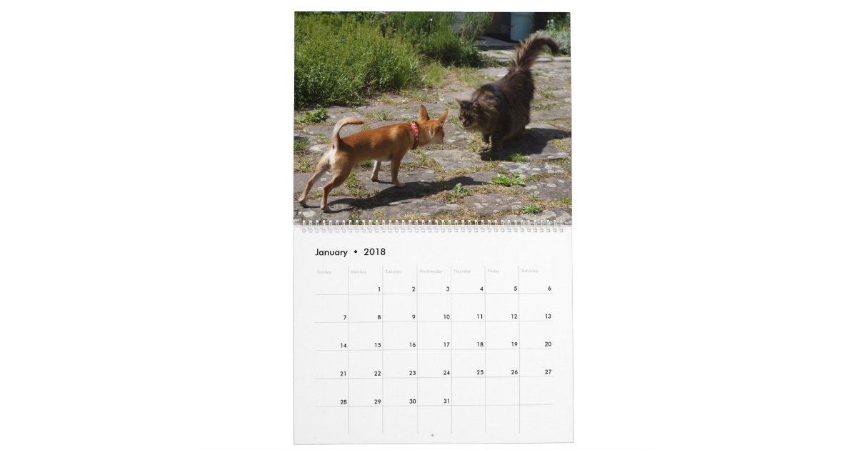 Cute Chihuahua 2018 Calendar | Zazzle Cute Chihuahua 2018 Calendar | Zazzle