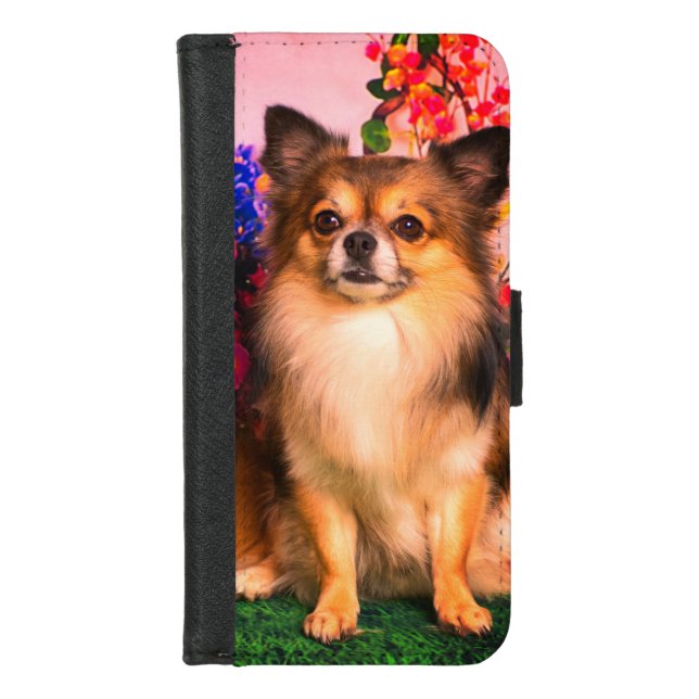 Cute Chihuahua Amid Spring Flowers iPhone Wallet Case (Front)