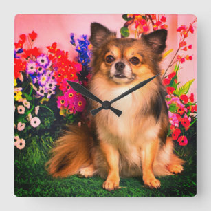 Cute Chihuahua Amid Spring Flowers Square Wall Clock