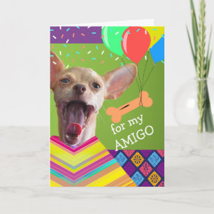 Cute Chihuahua Birthday for a Friend Biscuit Card