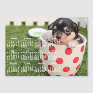Cute Chihuahua Calendar 2018 Magnetic Card 5x7