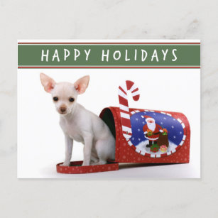 Cute Chihuahua Christmas Postcard