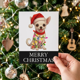 Cute Chihuahua Christmas Santa Dog Card