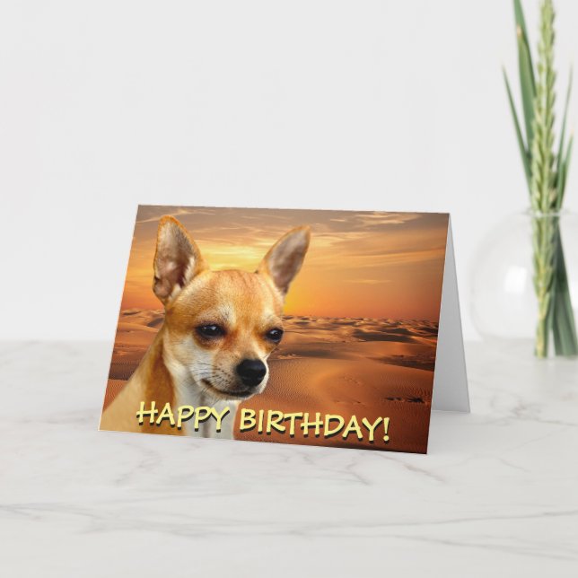 Cute chihuahua customizable greetings card (Front)