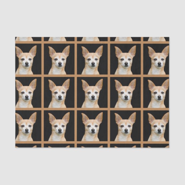 Cute Chihuahua Dog Black Tan Pattern Design Tissue Paper (Front)