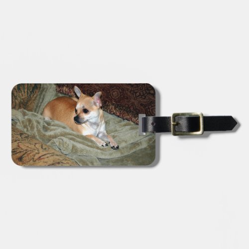 Cute Chihuahua Dog Luggage Tag