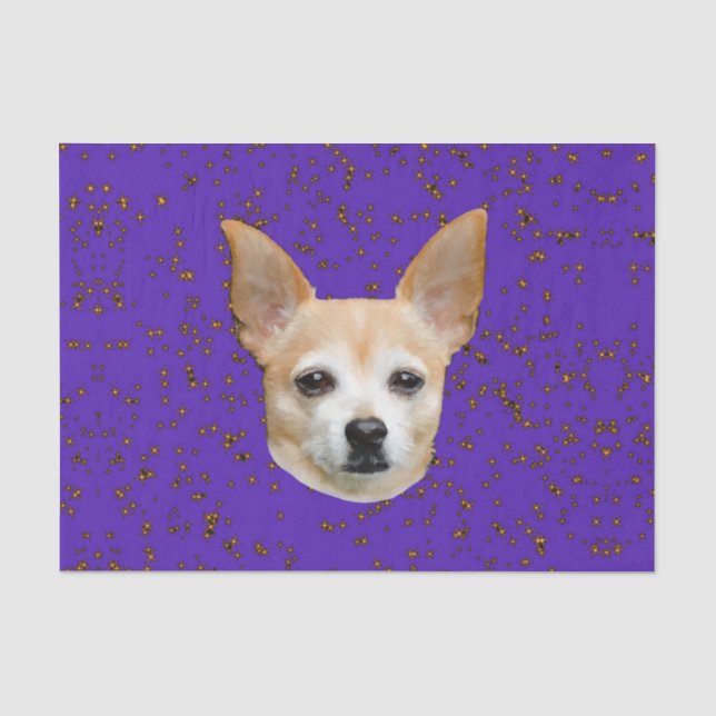 Cute Chihuahua Dog Purple Background Yellow Stars Tissue Paper (Front)