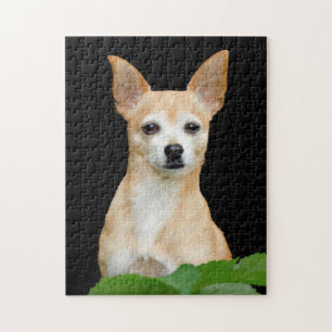 Cute Chihuahua Dog Tan Black Art Pet Portrait Jigsaw Puzzle