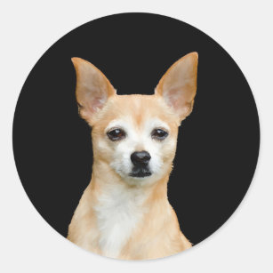 Cute Chihuahua Dog Tan Black Pet Portrait Art Classic Round Sticker