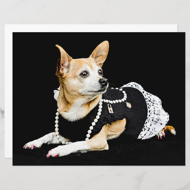 Cute Chihuahua Dog Tan Brown Black Elegant (Front/Back)
