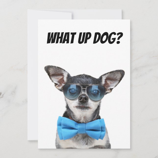 Cute chihuahua greeting card (Front)