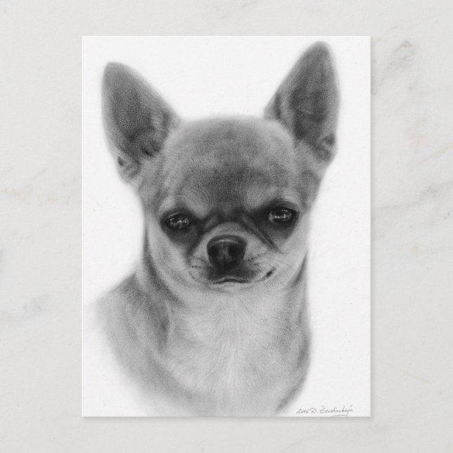 Cute Chihuahua Head Study Hand Painted Artwork Postcard (Front)