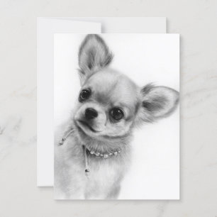 Cute Chihuahua Head Tilt Hand Painted Artwork Postcard