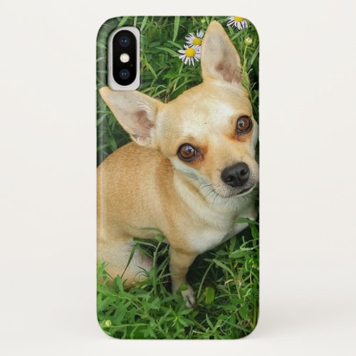 Cute Chihuahua in Grass Meadow iPhone X Case