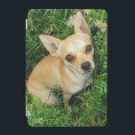 Cute Chihuahua in Grass Meadow iPad Mini Cover<br><div class="desc">Adorable photograph of a chihuahua dog looking up at the camera sitting on grass.</div>