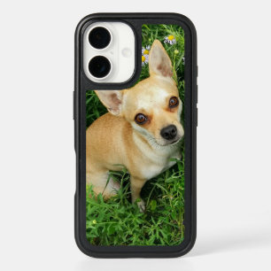 Cute Chihuahua in Grass Meadow iPhone 16 Case