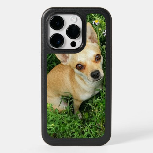 Cute Chihuahua in Grass Meadow OtterBox iPhone 14 Pro Case